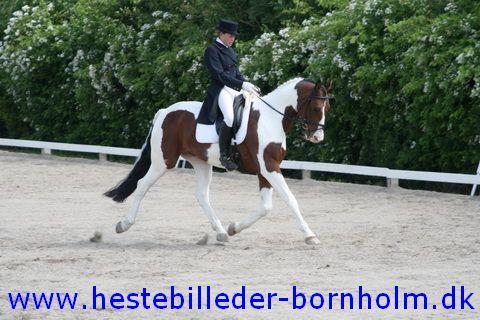 IMG_1895.JPG