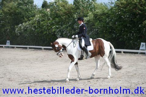 IMG_1908.JPG