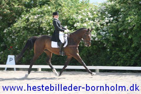 IMG_1964.JPG