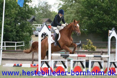 IMG_1186.JPG