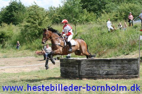 IMG_2984.JPG