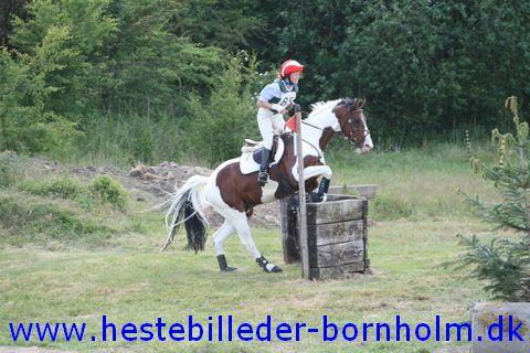 IMG_3191.JPG