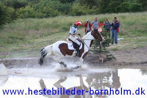 IMG_3198.JPG