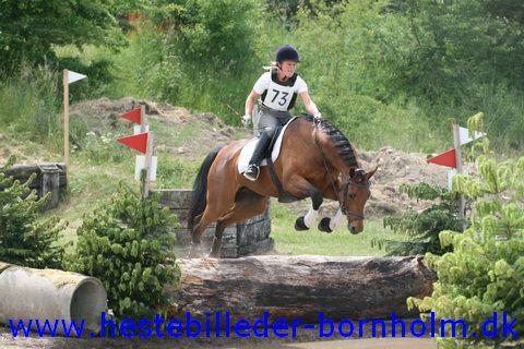 IMG_2738.JPG