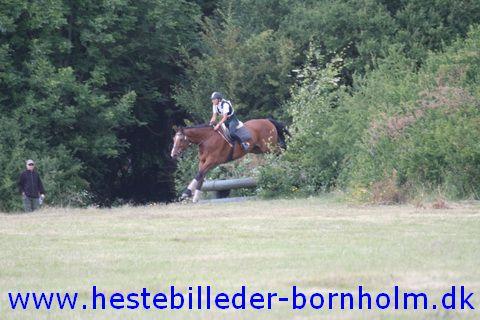 IMG_2762.JPG