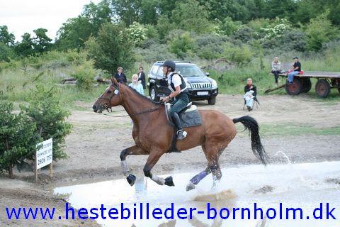 IMG_2777.JPG