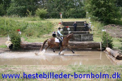IMG_2300.JPG