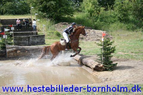 IMG_2317.JPG
