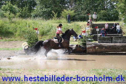 IMG_2326.JPG