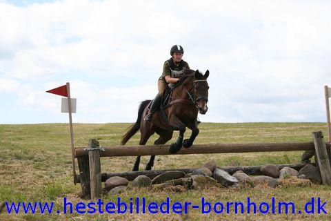 IMG_2409.JPG