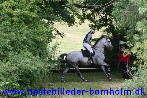 IMG_2439.JPG