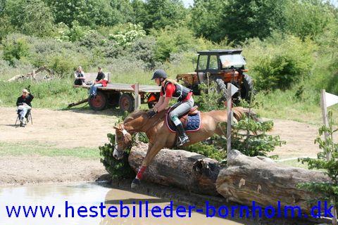 IMG_2795.JPG