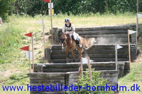 IMG_2855.JPG