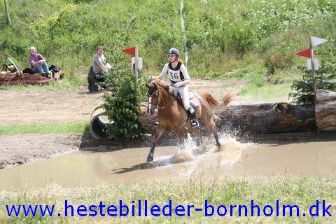 IMG_2860.JPG