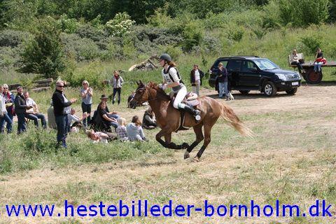 IMG_2867.JPG