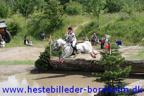 IMG_2879.JPG