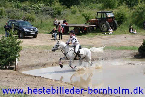 IMG_2882.JPG