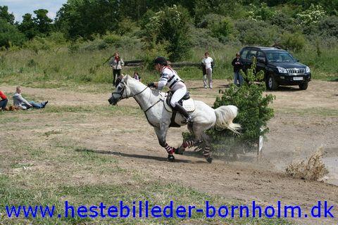 IMG_2884.JPG