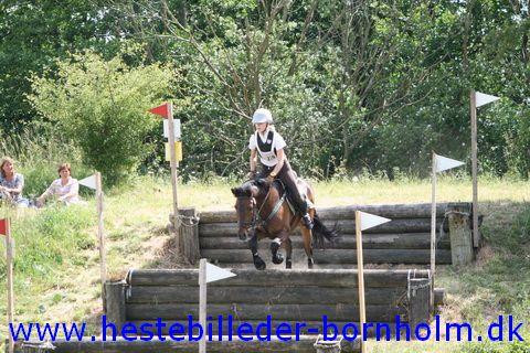 IMG_2891.JPG