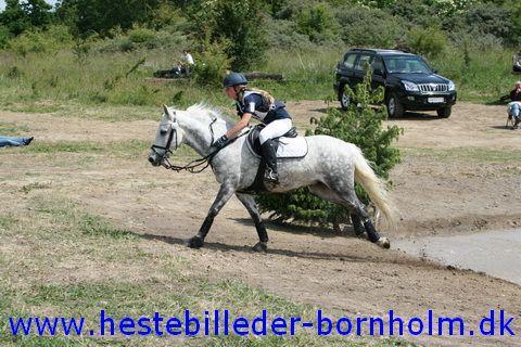 IMG_2920.JPG