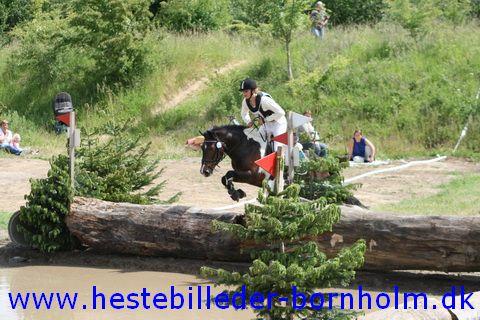 IMG_2930.JPG