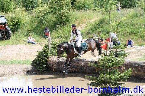 IMG_2931.JPG