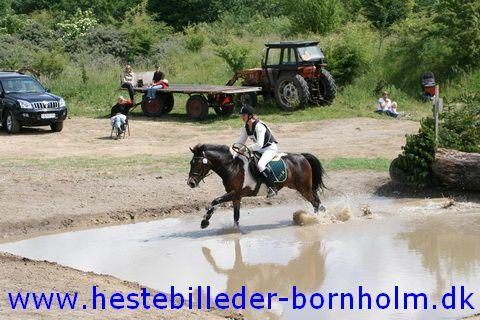 IMG_2934.JPG