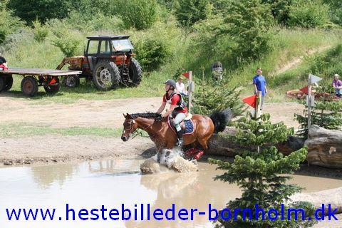 IMG_2947.JPG