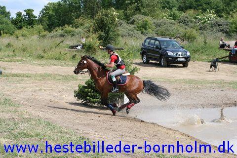 IMG_2951.JPG