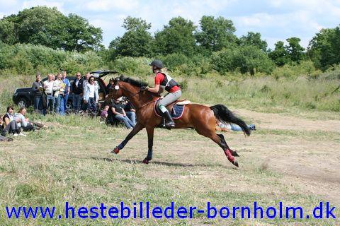 IMG_2953.JPG