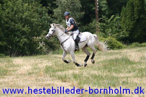 IMG_2457.JPG