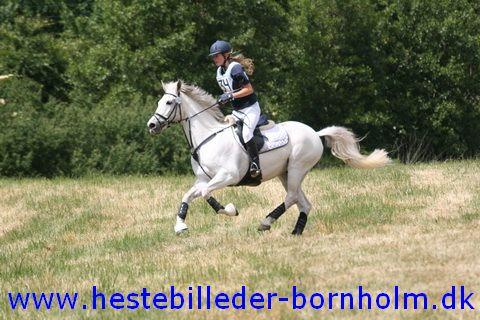 IMG_2459.JPG