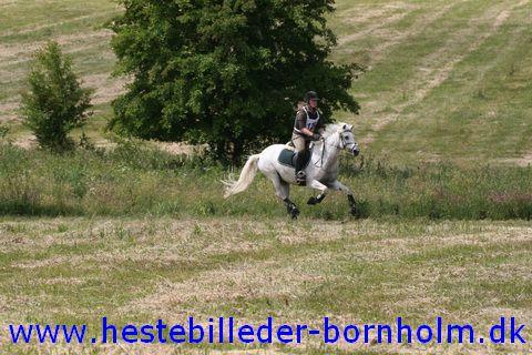 IMG_2483.JPG