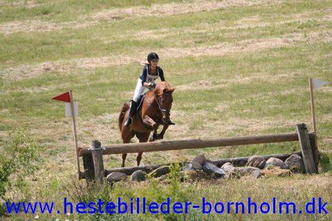 IMG_2496.JPG