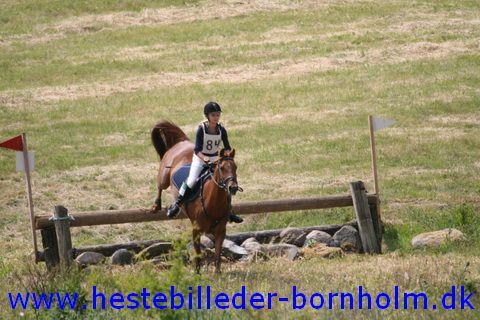 IMG_2497.JPG