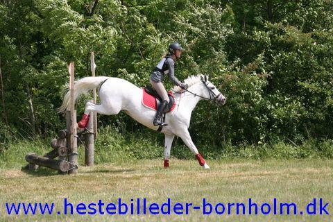IMG_2508.JPG