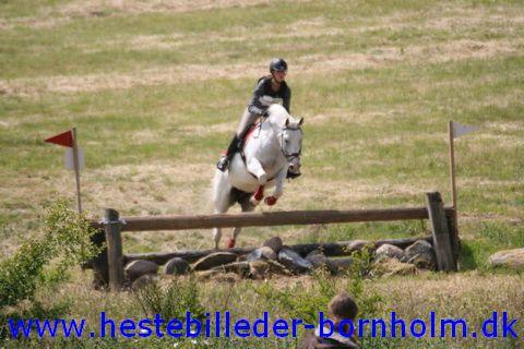 IMG_2518.JPG