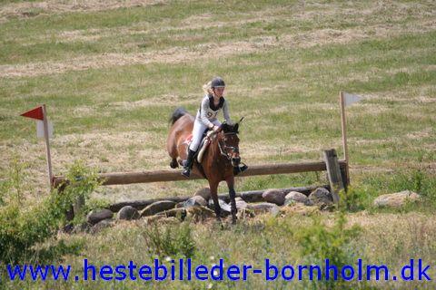 IMG_2543.JPG
