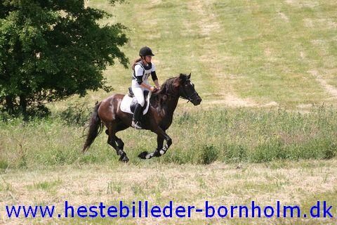 IMG_2564.JPG