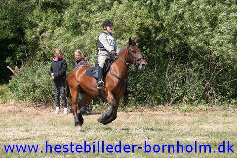 IMG_2572.JPG