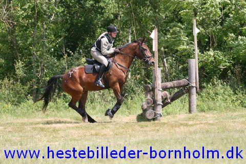 IMG_2577.JPG