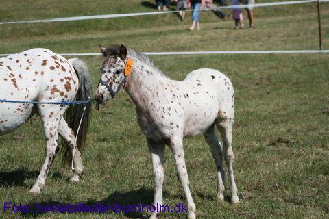 IMG_9772.JPG