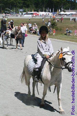 IMG_9922.JPG