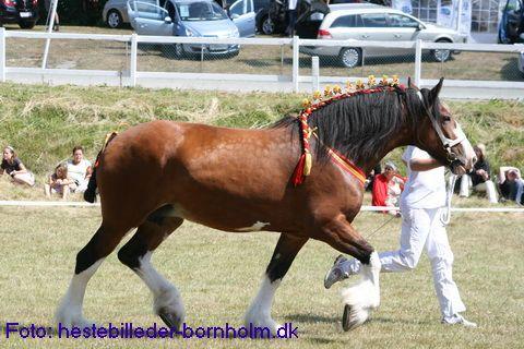 IMG_0127.JPG