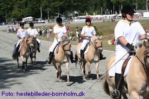 IMG_0972.jpg