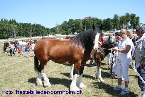 IMG_0395.JPG