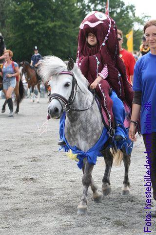 IMG_1555.jpg