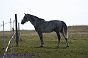 IMG_9862