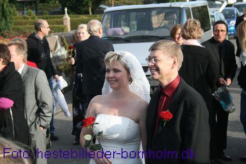 IMG_8014.JPG