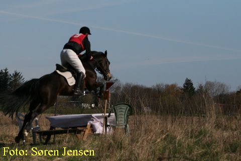 IMG_2625.JPG